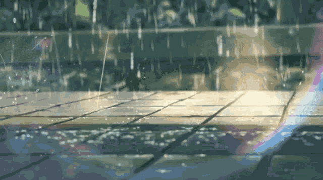 Rain Drops Rain GIF