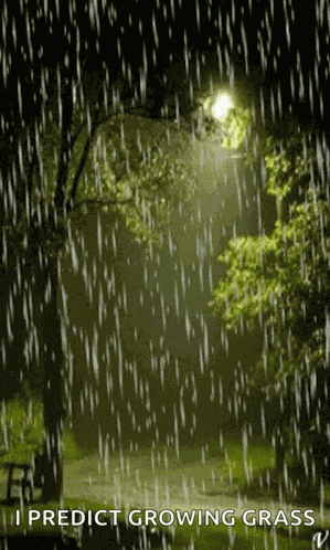 Rain Lights GIF