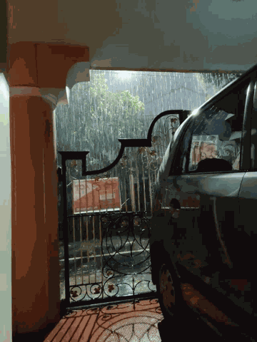 Rain GIF
