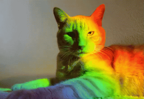Rainbow Unimpressed GIF