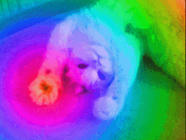 Rainbow GIF