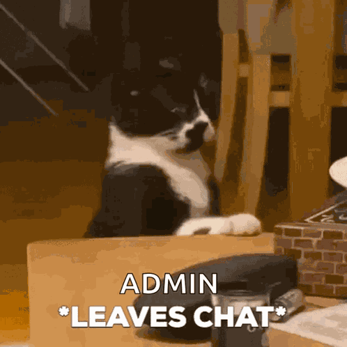 Rainkitty Leaves GIF