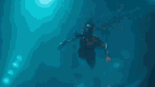 Rakenrola Shrimp GIF