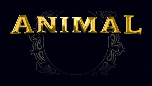 Ranbir Kapoor Animal Film GIF GIF