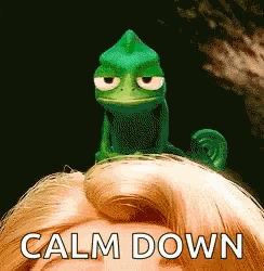 Rapunzel Settle GIF