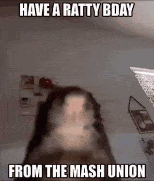 Rat Mash Union GIF