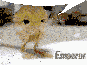 Rat Rat Meme Sticker