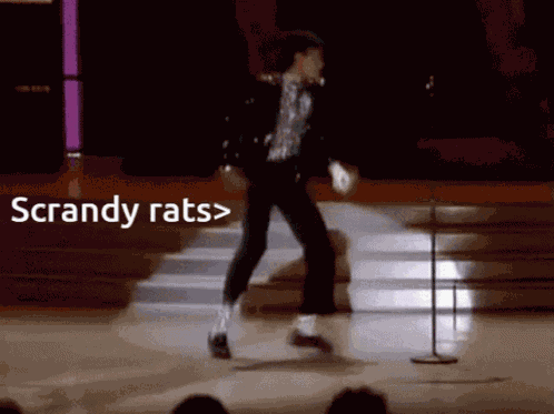 Rats GIF