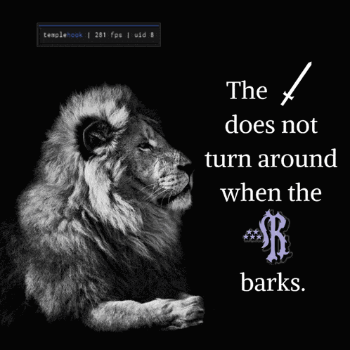 Ratz Temple Hook GIF