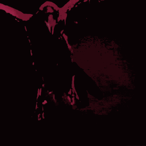 Raven Defi GIF