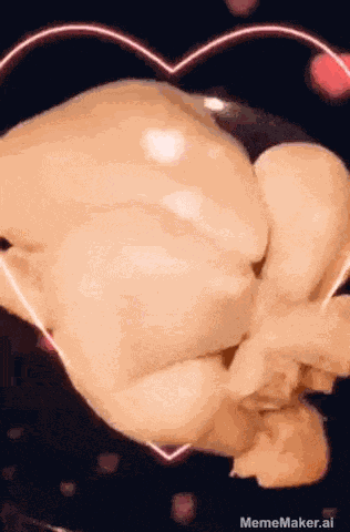 Raw Chicken Love GIF