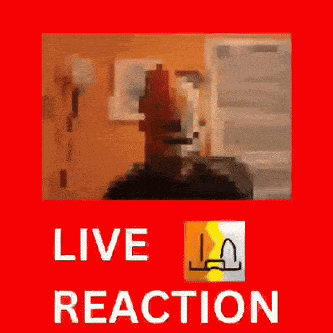 Reaction My Honest Reaction GIF