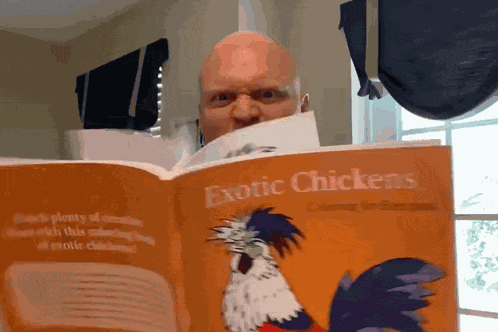 Reading Books Aggressive GIF