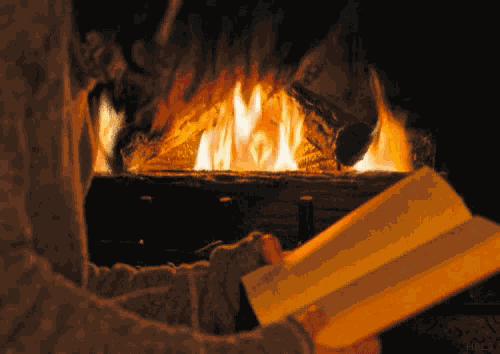 Reading By The Fire Flame GIF