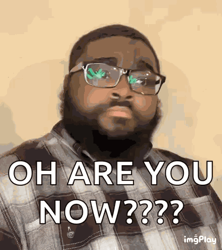 Really Bro Oh Really GIF