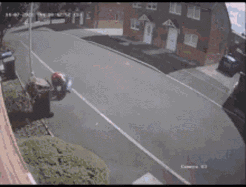Really GIF