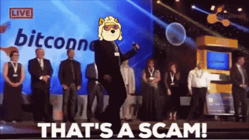 Realshibes Realshibespodcast GIF