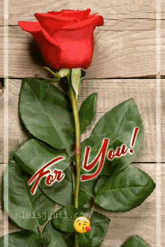 Red Rose For You GIF