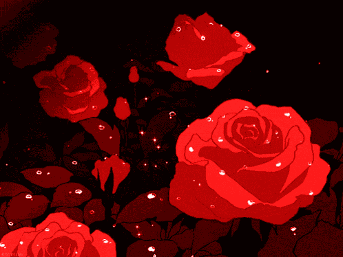 Red Rose Rose GIF