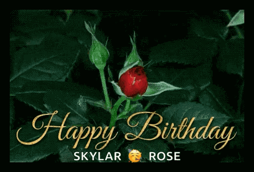 Red Roses Blooming GIF