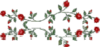 Red Roses Roses Reflection Sticker GIF