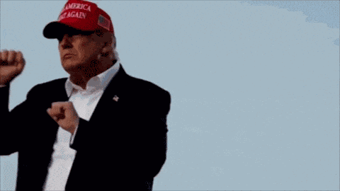 Red Wave Trump 2024 GIF