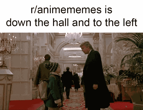 Reddit Animememes GIF