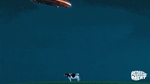 Redefine Meat Newmeat GIF