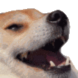 Ree Dog Sticker