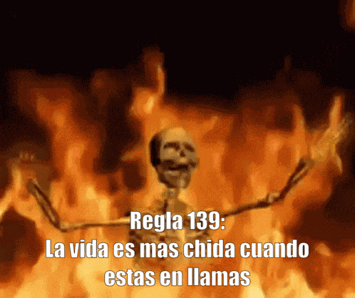 Regla 139 GIF