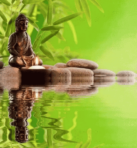 Relajarse GIF