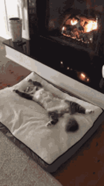 Relax Staywarm GIF