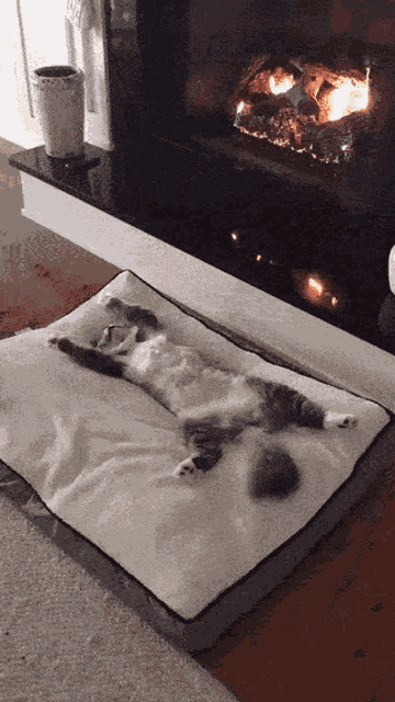 Relax Sunday GIF