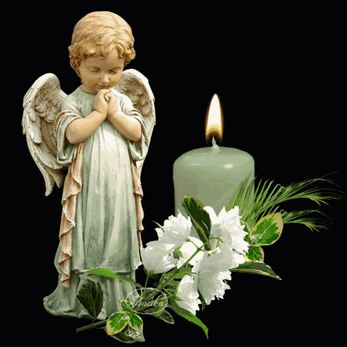 Remembrance In Memory GIF