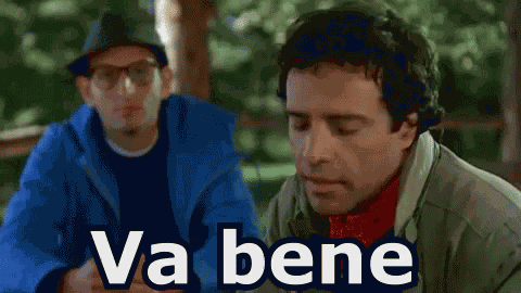 Renato Pozzetto Va Bene Perfetto D'Accordo GIF