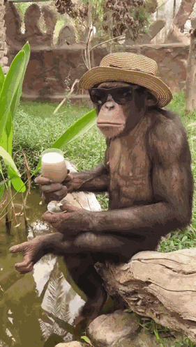 Rest Holidays GIF