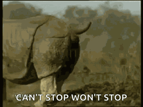 Rhino Shit GIF