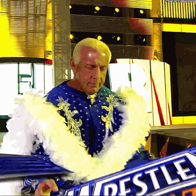 Ric Flair Entrance GIF