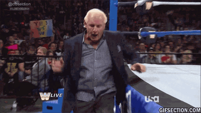 Ric Flair GIF