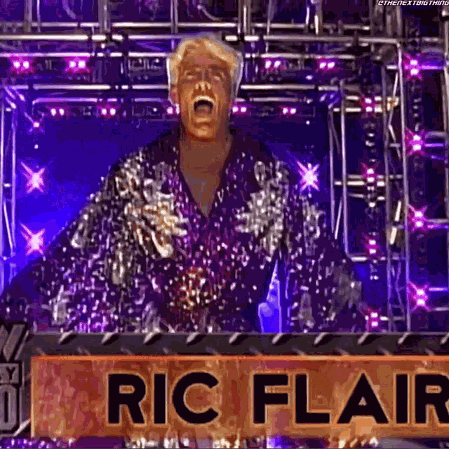 Ric Flair Wcw Nitro GIF