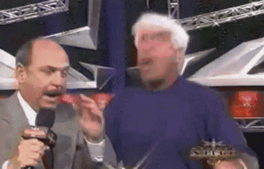 Ric Flair Wooooo GIF
