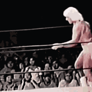 Ric Flair Wwe GIF