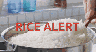 Rice Alert GIF