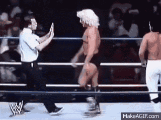 Ricflair Flop GIF