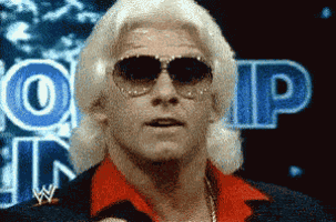 Ricflair Wwe GIF