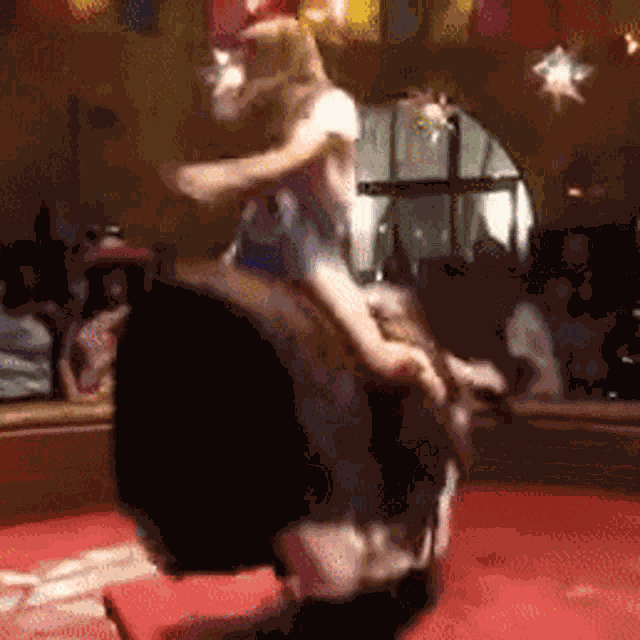 Ride It Yeah Baby GIF
