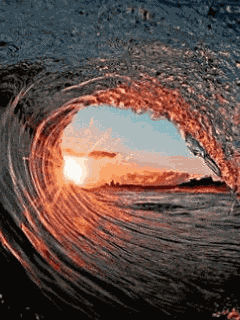 Ride The Wave GIF