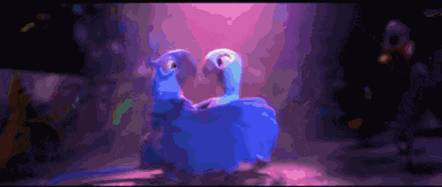 Rio Birds GIF