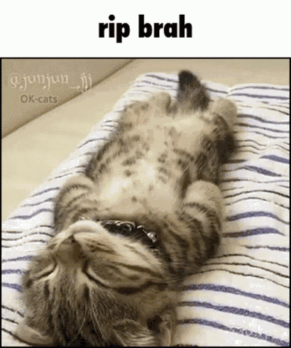 Rip Brah Rip GIF