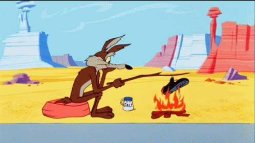 Road Runner Wile E Coyote GIF